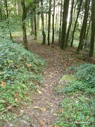 Un petit sentier en lacets permet de rejoindre la promenade du Calvaire